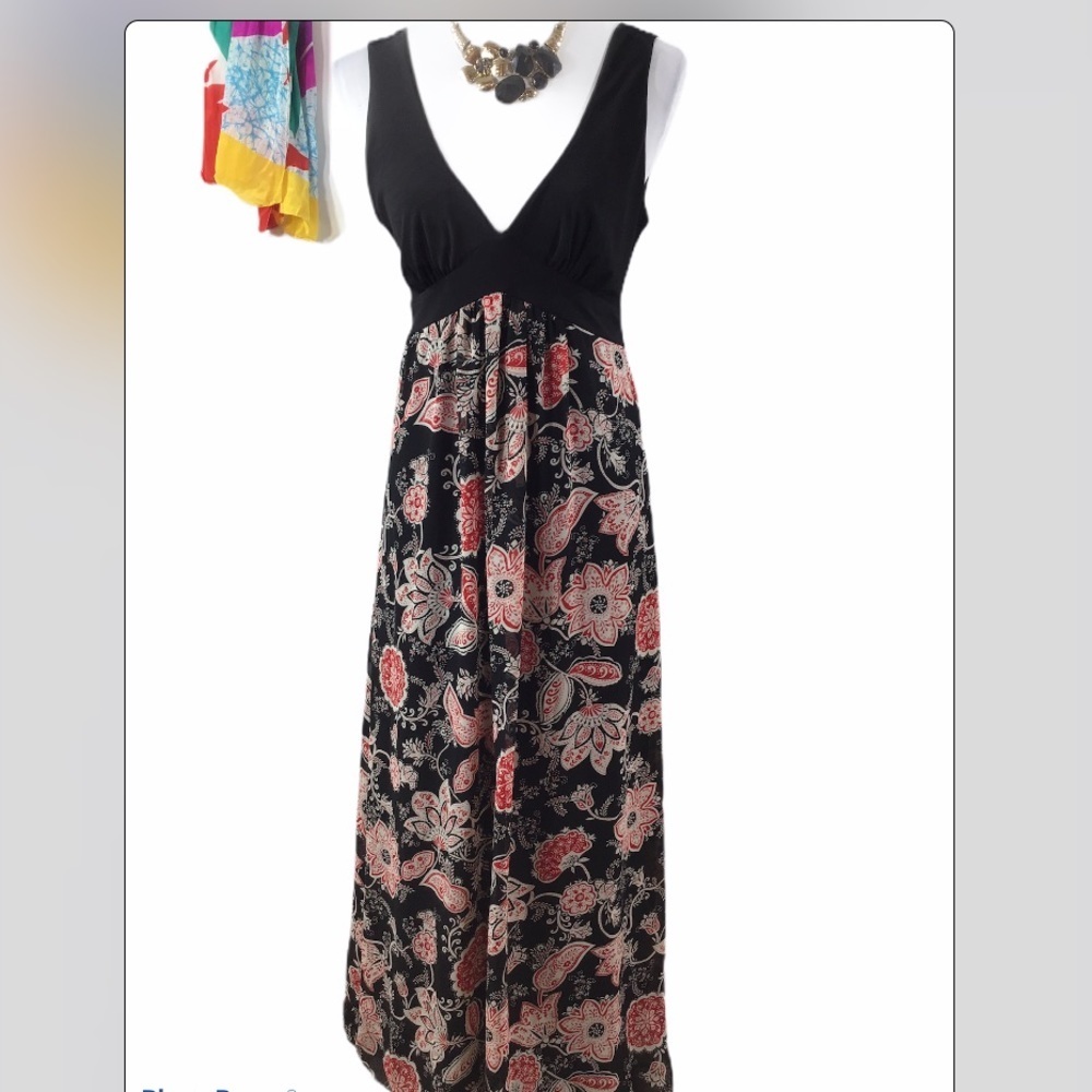 Bison Bisou empire waist maxi dress 12